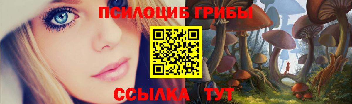 Шатура  Галлюциногенные грибы Magic Shrooms  Вход с VPN 
