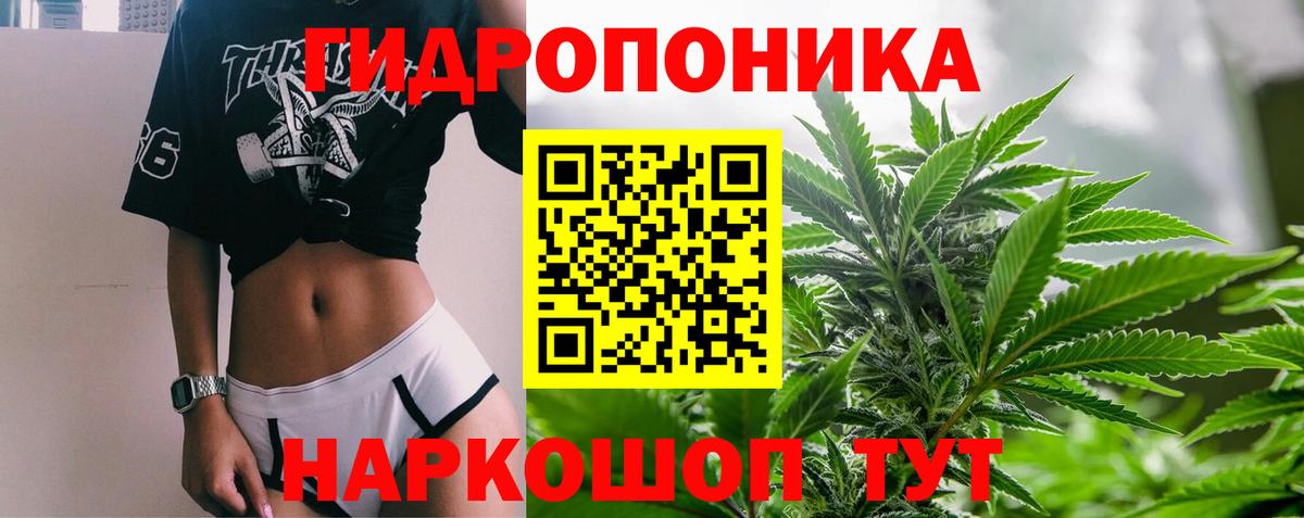 Канабис Bruce Banner Шатура